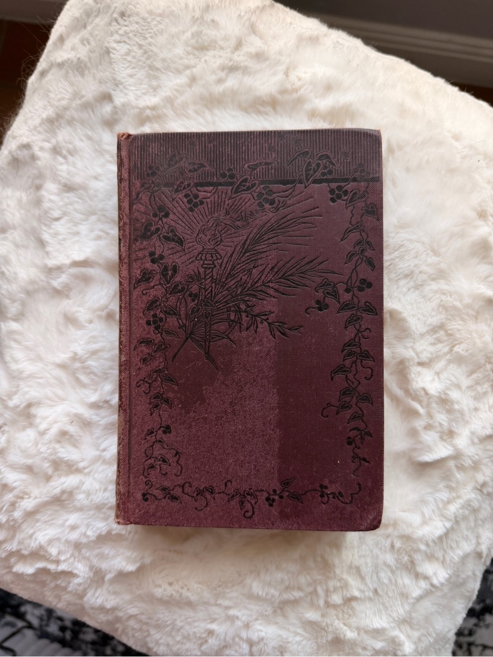 Vintage 1890s Book Adventures Among the Indians WHG Kingston Antique Hardcover